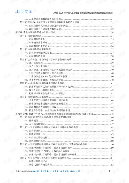2021-2025年中國人工智能基礎數據服務與行業應用系統集成服務市場細分策略研究報告
